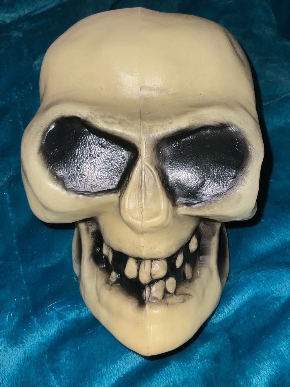 N/A vibrant skull